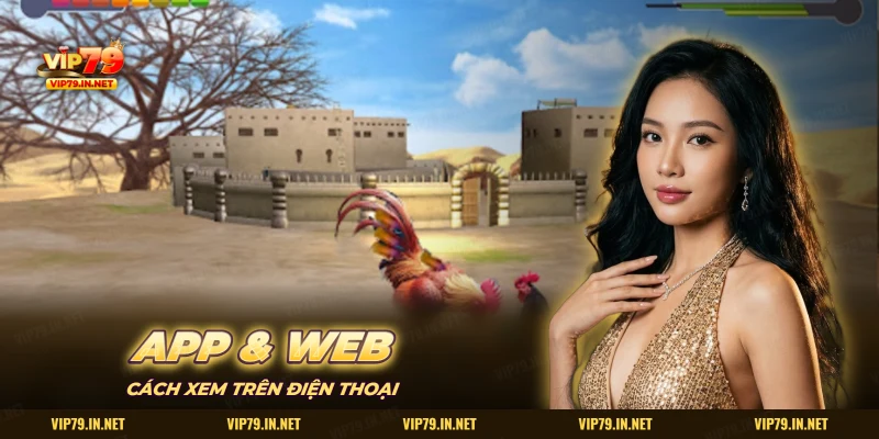 So sánh xem đá gà qua app và trình duyệt trên điện thoại VIP79