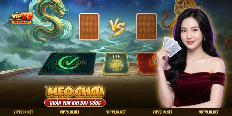 Quản vốn khi đặt cược Rồng Hổ trên bàn bài hoạt hình