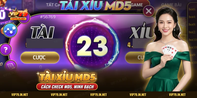 Tài xỉu MD5 VIP79 cách check MD5 minh bạch
