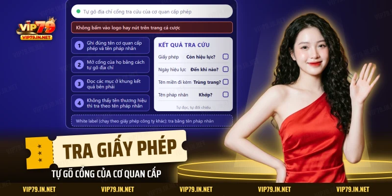 Các bước tra giấy phép cá cược của VIP79 trên cổng cơ quan cấp phép, đọc hiệu lực và tên miền đi kèm