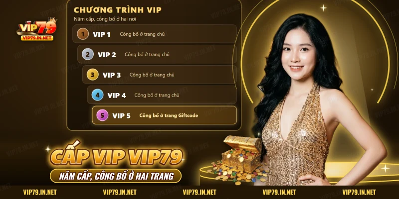 VIP VIP79 gồm năm cấp, bốn cấp đầu công bố ở trang chủ và cấp VIP 5 ở trang Giftcode