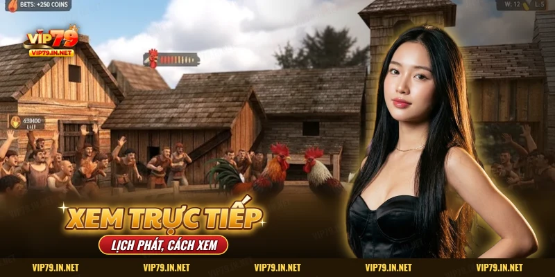 Xem đá gà trực tiếp VIP79 lịch phát cách xem trên điện thoại